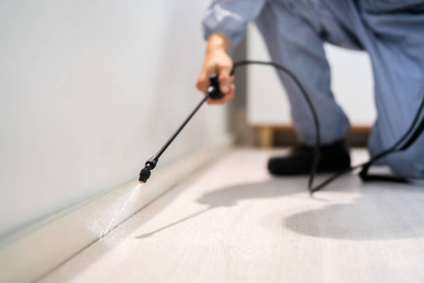 Licensed Pest Control service in Indian Mountain Lake, PA - Show Me Pest Control