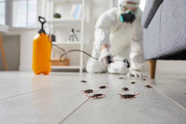 Post-Treatment Bed Bug Interceptor Monitoring in Indian Mountain Lake