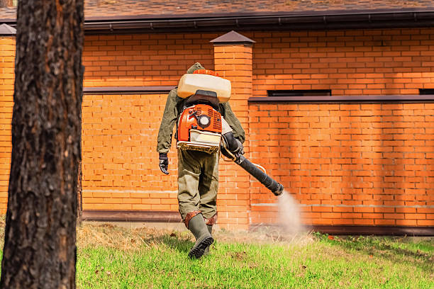 Bed Bug Clearance Verification and Documentation in Indian Mountain Lake